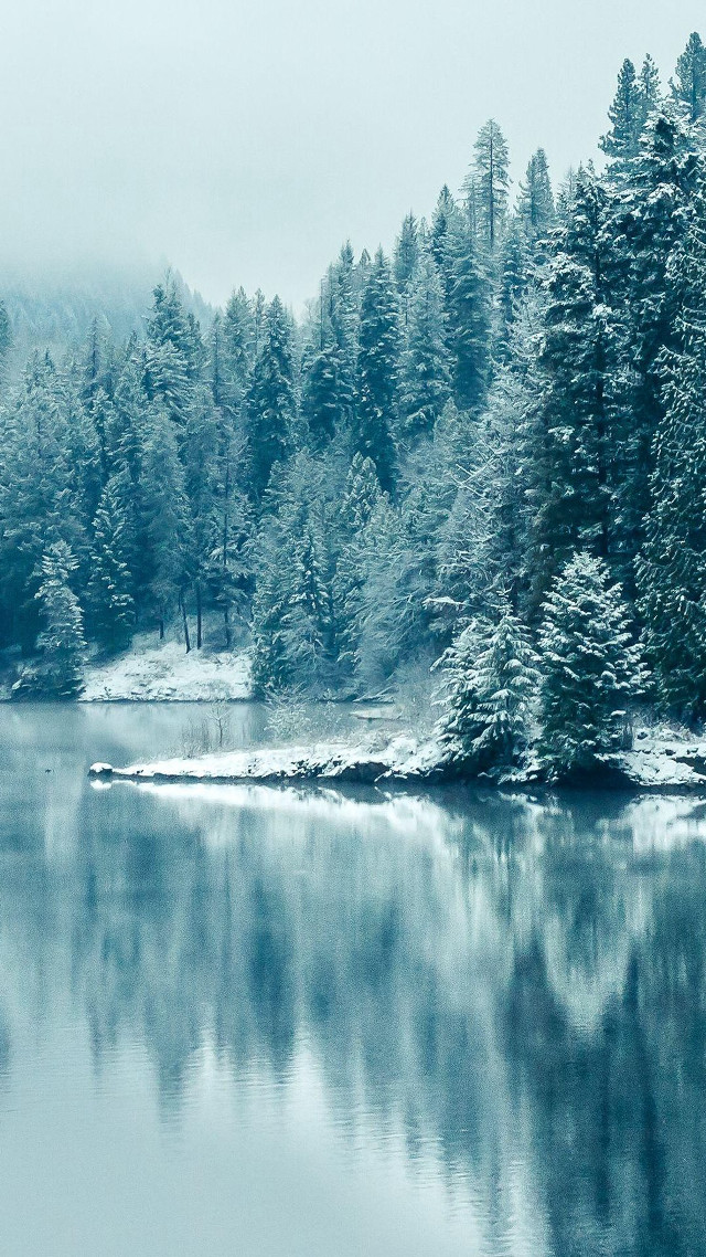 Lake trees snow forest fog free wallpaper - medium preview image