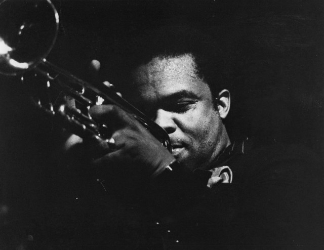 Man playing trumpet black white free wallpaper - medium preview image