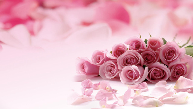 Pink roses bouquet white surface free wallpaper - medium preview image