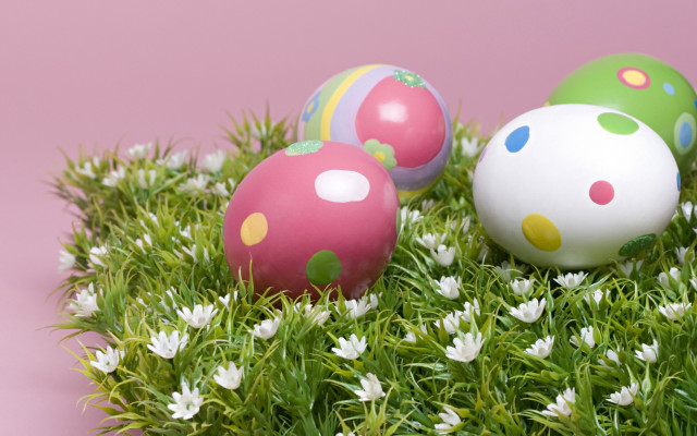 Decorated eggs daisies field pink free wallpaper - medium preview image