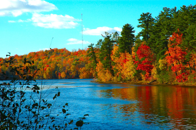 Lake trees fall colors blue #4 free wallpaper - medium preview image