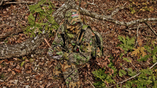 Camouflaged man woods frisbee tree #2 free wallpaper - medium preview image