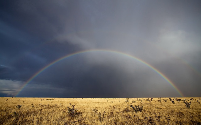 Double rainbow field grass weeds free wallpaper - medium preview image