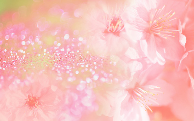 Closeup pink white flowers impressionism free wallpaper - medium preview image