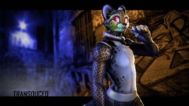 Weird faced cat in cat free wallpaper - medium preview image