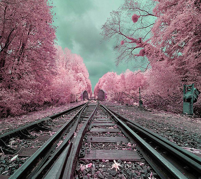 Train track trees building pink free wallpaper - medium preview image