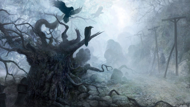 Forest bird tree stump path free wallpaper - medium preview image