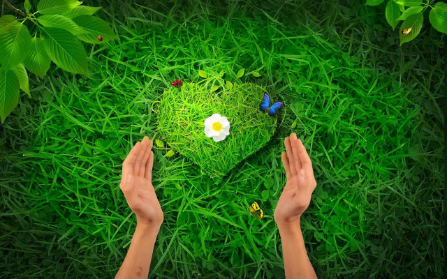 Person holding heart green grass #2 free wallpaper - medium preview image