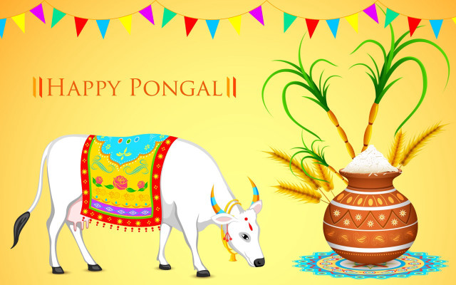 White cow vase plant yellow free wallpaper - medium preview image