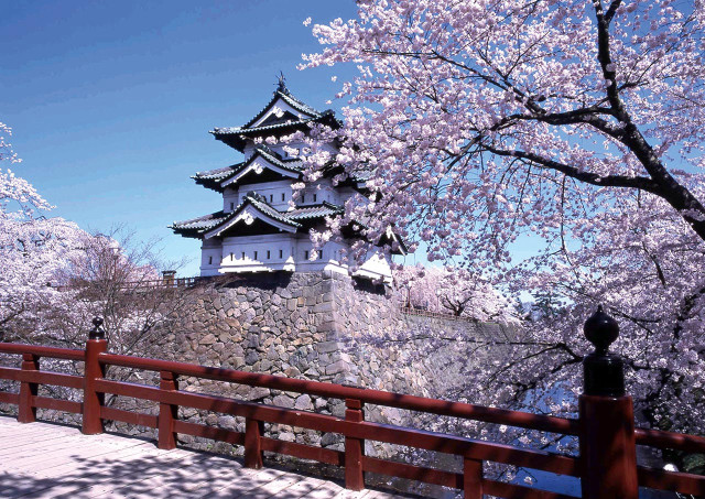 Tall white building hill tree free wallpaper - medium preview image
