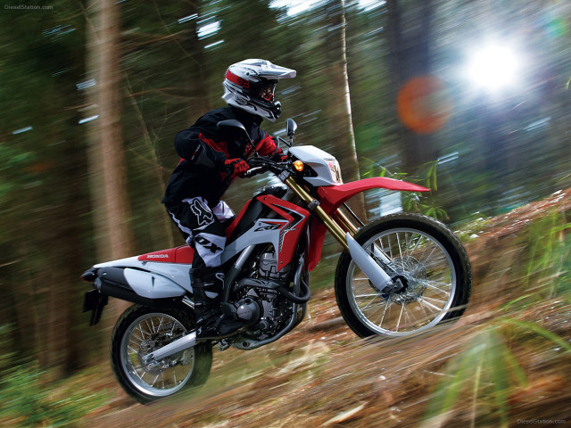 Dirt bike trail woods sunshine free wallpaper - medium preview image