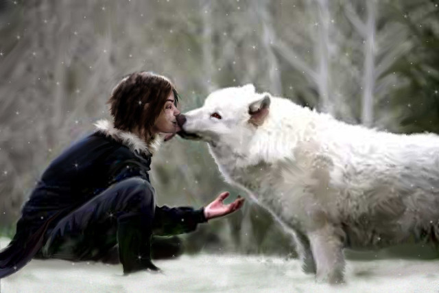 Woman dog kissing snow trees free wallpaper - medium preview image