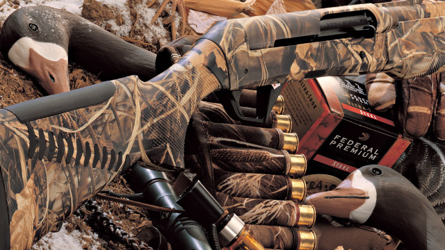 Fake gun duck display case free wallpaper - medium preview image