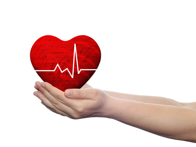 Hand red heart heartbeat white free wallpaper - medium preview image