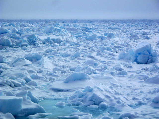 Ice floating water snow ground free wallpaper - medium preview image