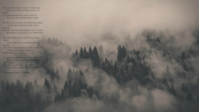 Forest fog monochrome poem girls free wallpaper - medium preview image