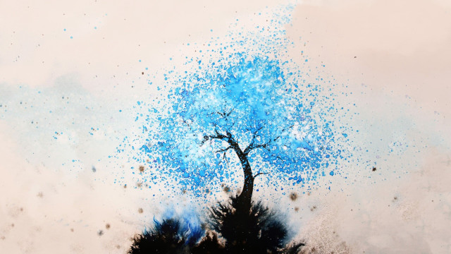 Blue tree sprinkles branches sky free wallpaper - medium preview image