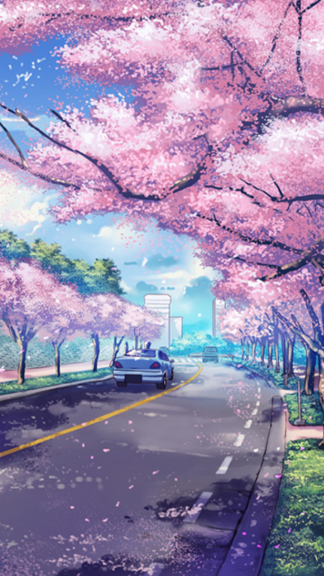 Car street pink flowers bench free wallpaper - medium preview image