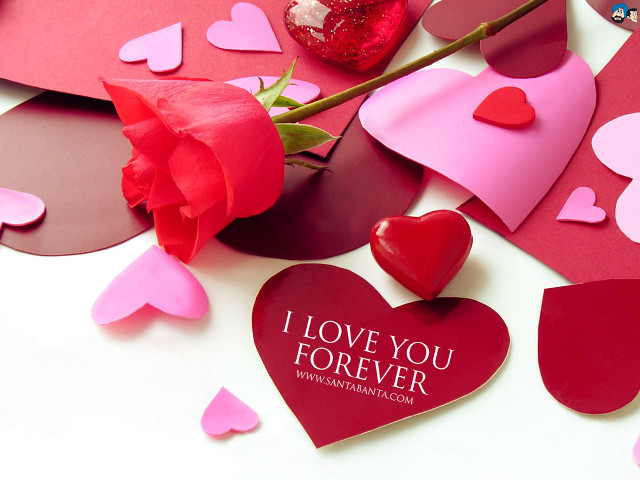 Rose hearts love message red free wallpaper - medium preview image