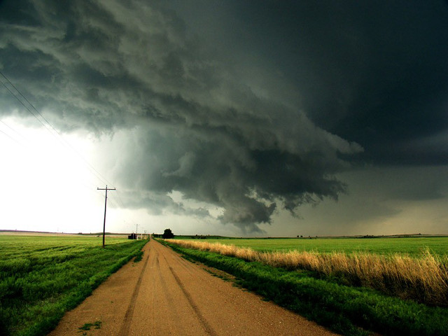 Dirt road field telephone poles free wallpaper - medium preview image