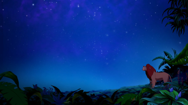 Lion jungle night sky stars free wallpaper - medium preview image