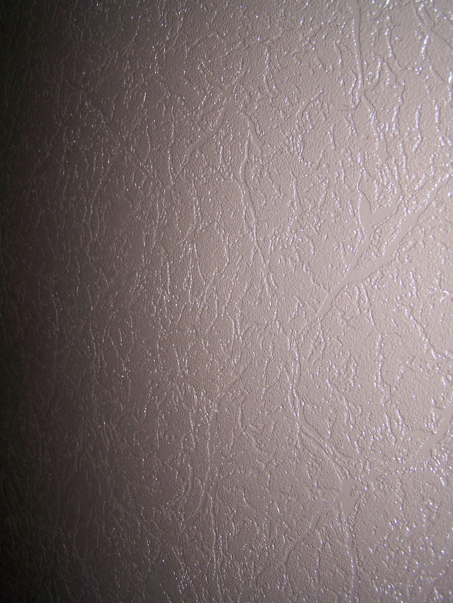 White wall black white cat free wallpaper - medium preview image