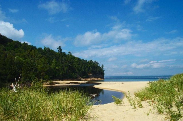 Sandy beach lake trees grass free wallpaper - medium preview image