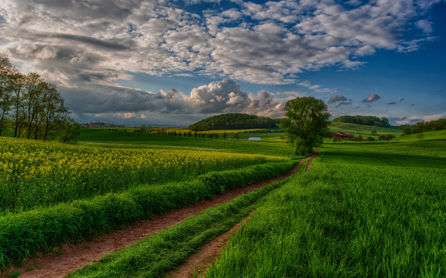 Dirt road green field cloudy #13 free wallpaper - medium preview image