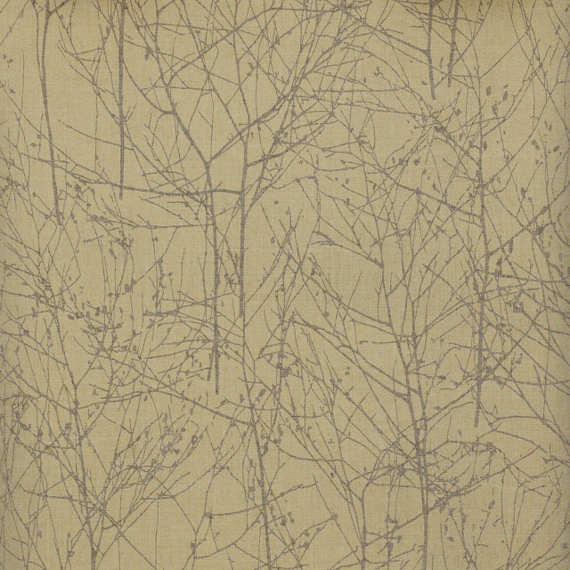 Bare tree winter nature leaves free wallpaper - medium preview image