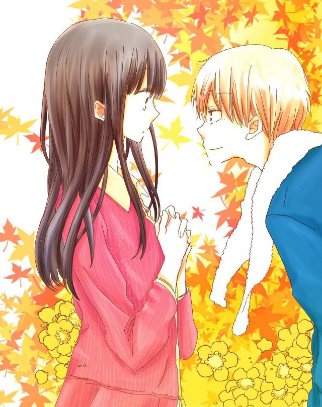 Couple people tree leaves yellow free wallpaper - medium preview image