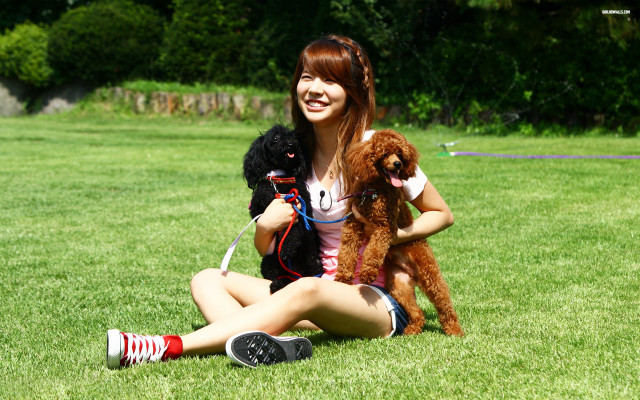 Woman dogs grass cellphone camera free wallpaper - medium preview image