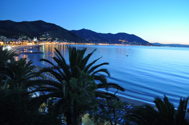 Beach palm trees city night free wallpaper - medium preview image