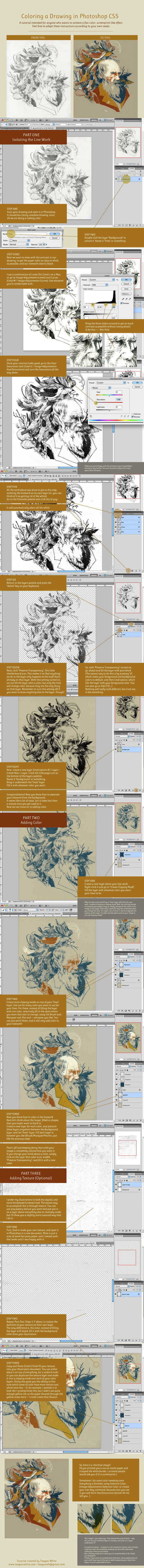 Large poster different types lines free wallpaper - medium preview image