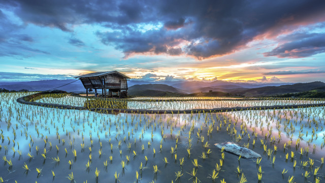 House hill bananas foreground boat free wallpaper - medium preview image