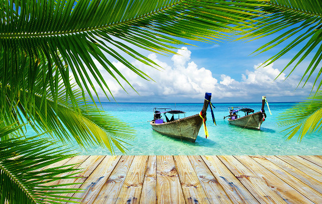 Tropical beach docked boats palm free wallpaper - medium preview image