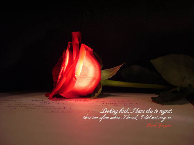 Rose paper quote sitting on #2 free wallpaper - medium preview image