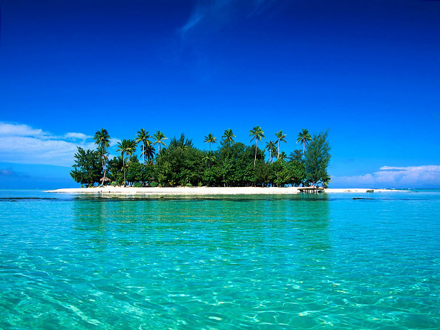 Small island palm trees blue #2 free wallpaper - medium preview image