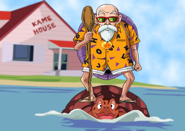 Cartoon man turtle paddle hat free wallpaper - medium preview image
