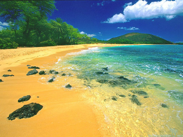 Beach rocks water sunny day free wallpaper - medium preview image