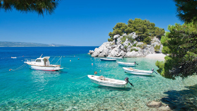 Boats ocean rocky shore trees free wallpaper - medium preview image