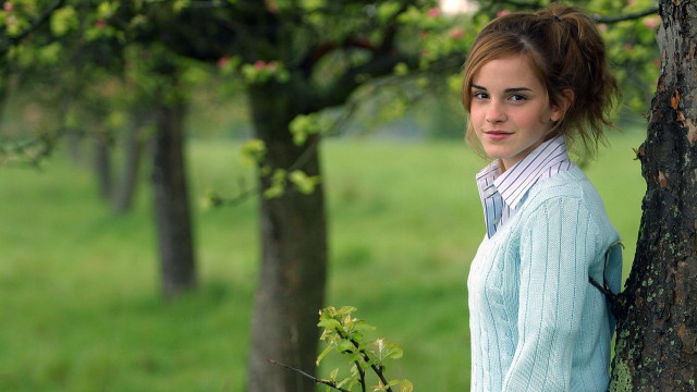 Woman tree field blue sweater free wallpaper - medium preview image