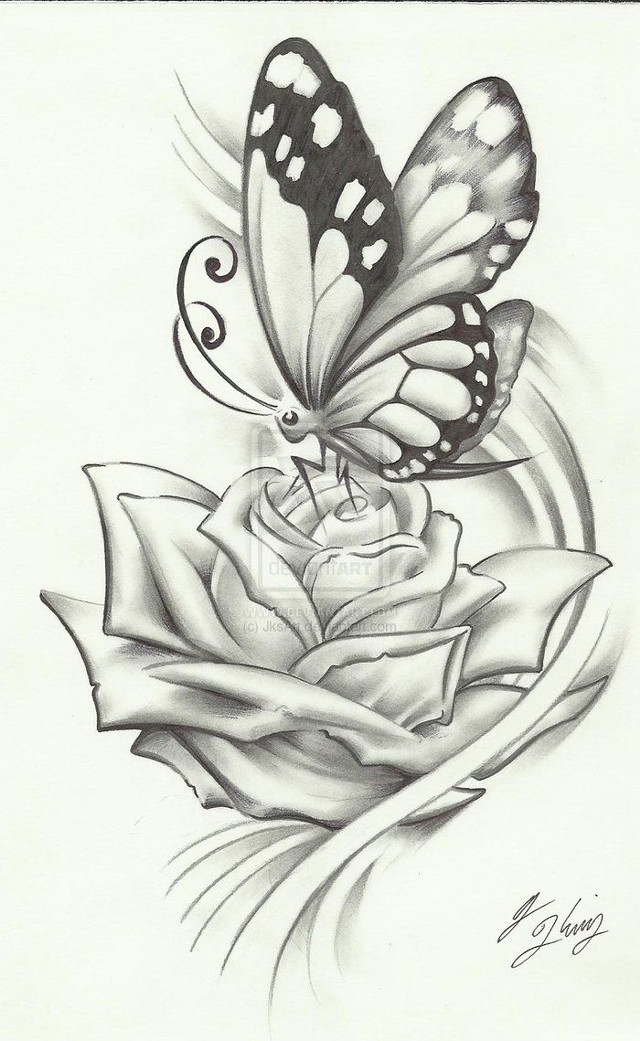 Butterfly rose swirly background outline free wallpaper - medium preview image