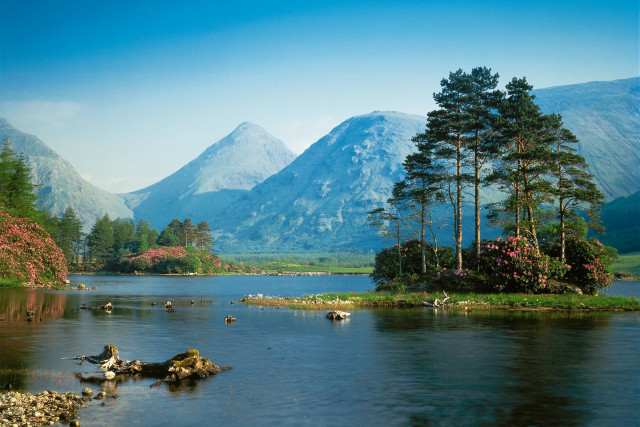 Lake mountains trees animals birds free wallpaper - medium preview image