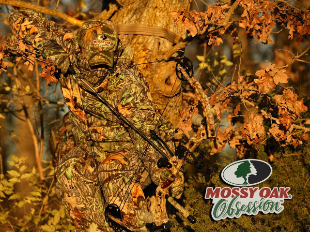 Mossy oak advertisement tree background free wallpaper - medium preview image