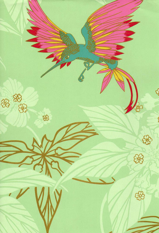 Pink tail bird flying green free wallpaper - medium preview image