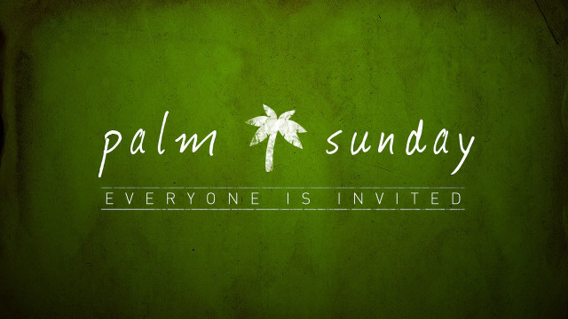 Palm tree green background palm free wallpaper - medium preview image