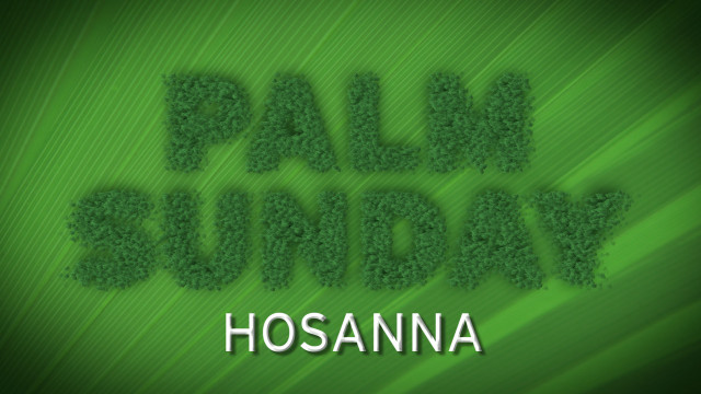 Green background palm sunday grass free wallpaper - medium preview image