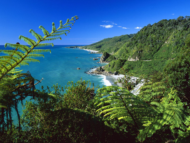 Beach forest hilltop scene nature free wallpaper - medium preview image