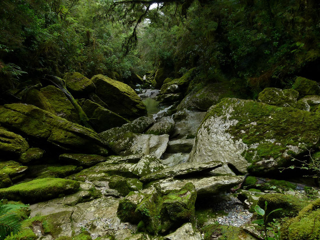 Stream lush forest rocks mossy #3 free wallpaper - medium preview image