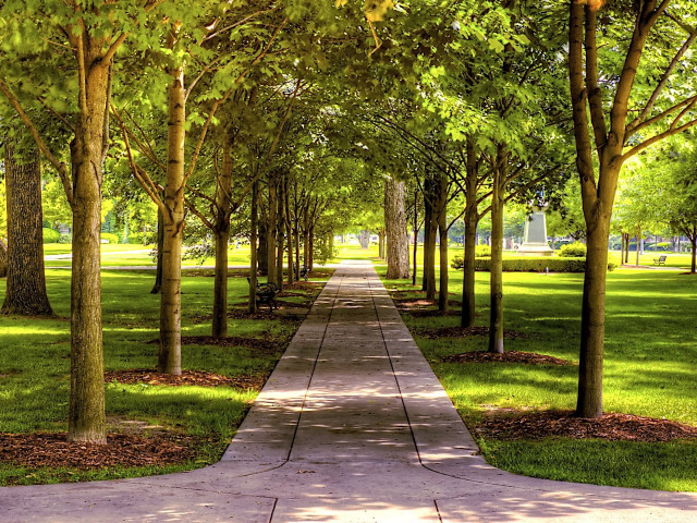 Walkway park trees grass bench free wallpaper - medium preview image